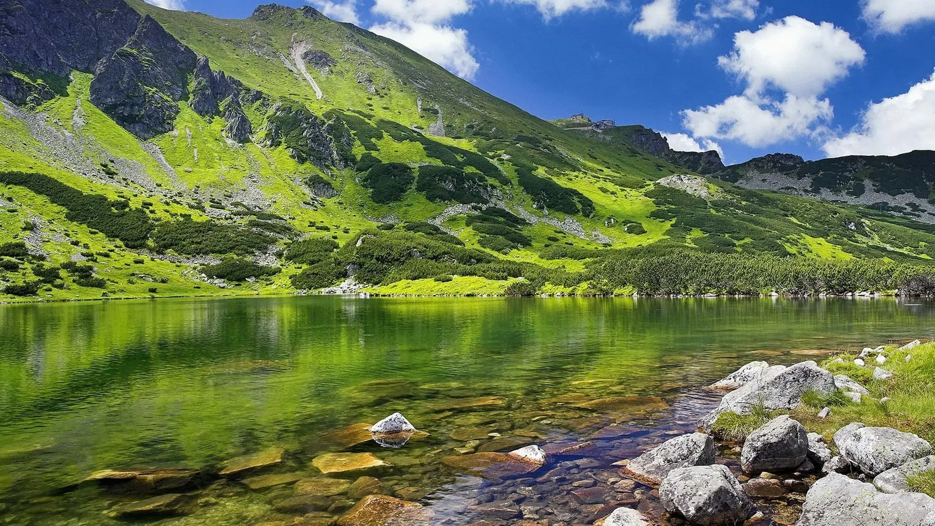 Kashmir Complete Family Trip